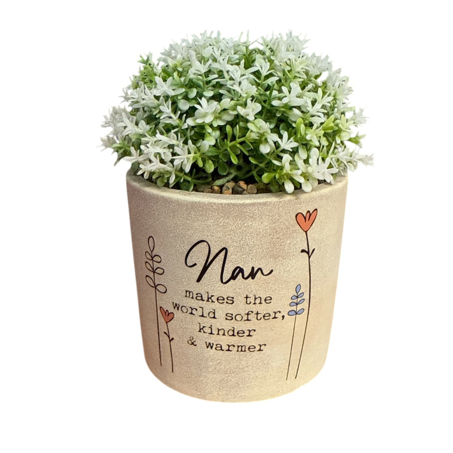 Wild Meadow Pot Plant