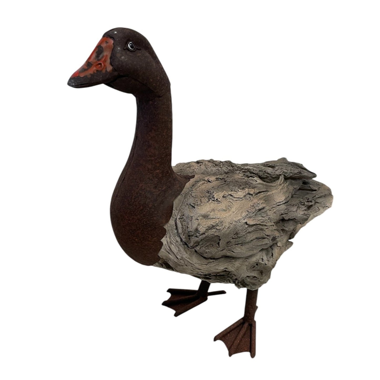 Woodland Duck