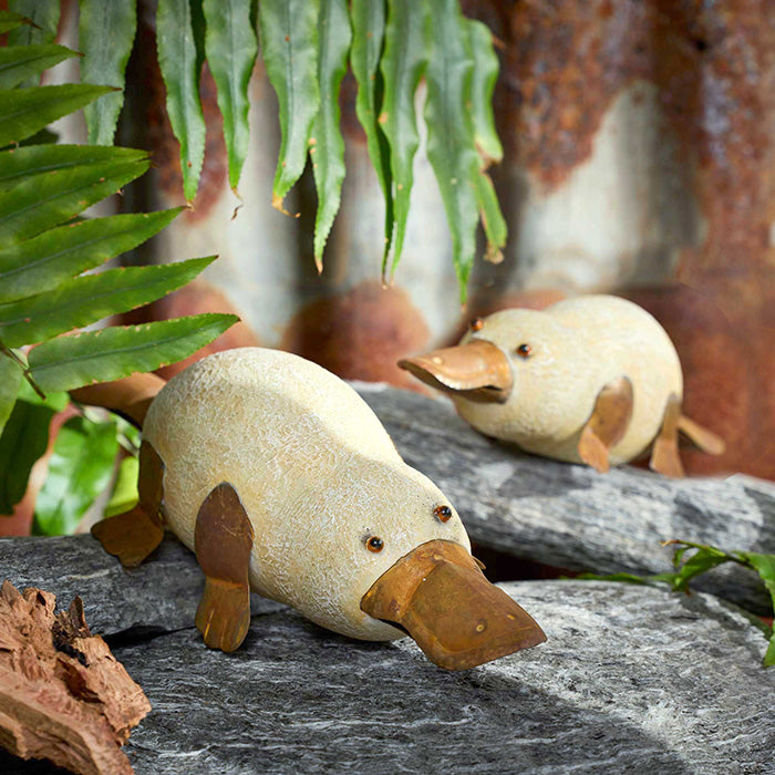 Platypus Rust Medium