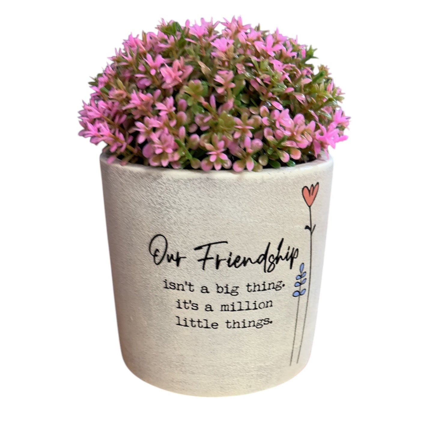 Wild Meadow Pot Plant