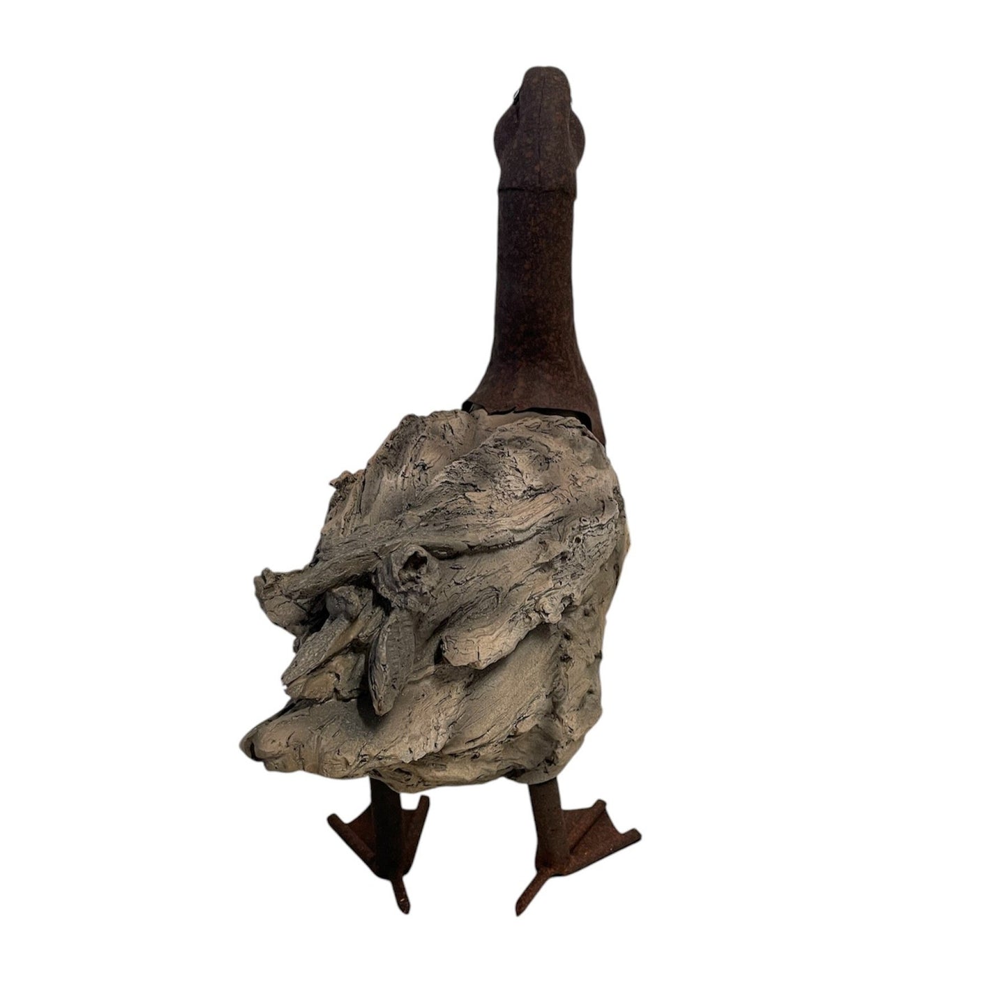 Woodland Duck