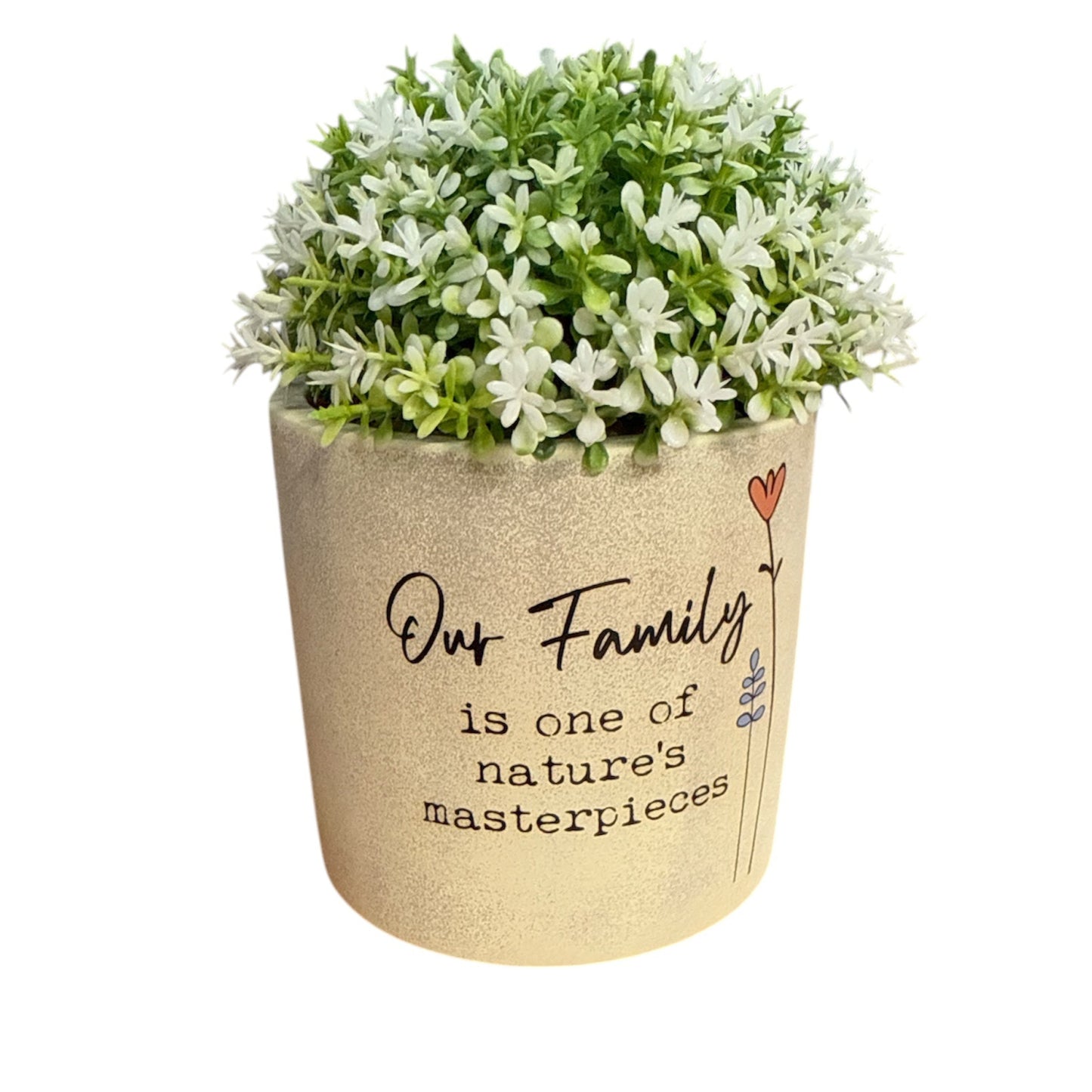 Wild Meadow Pot Plant