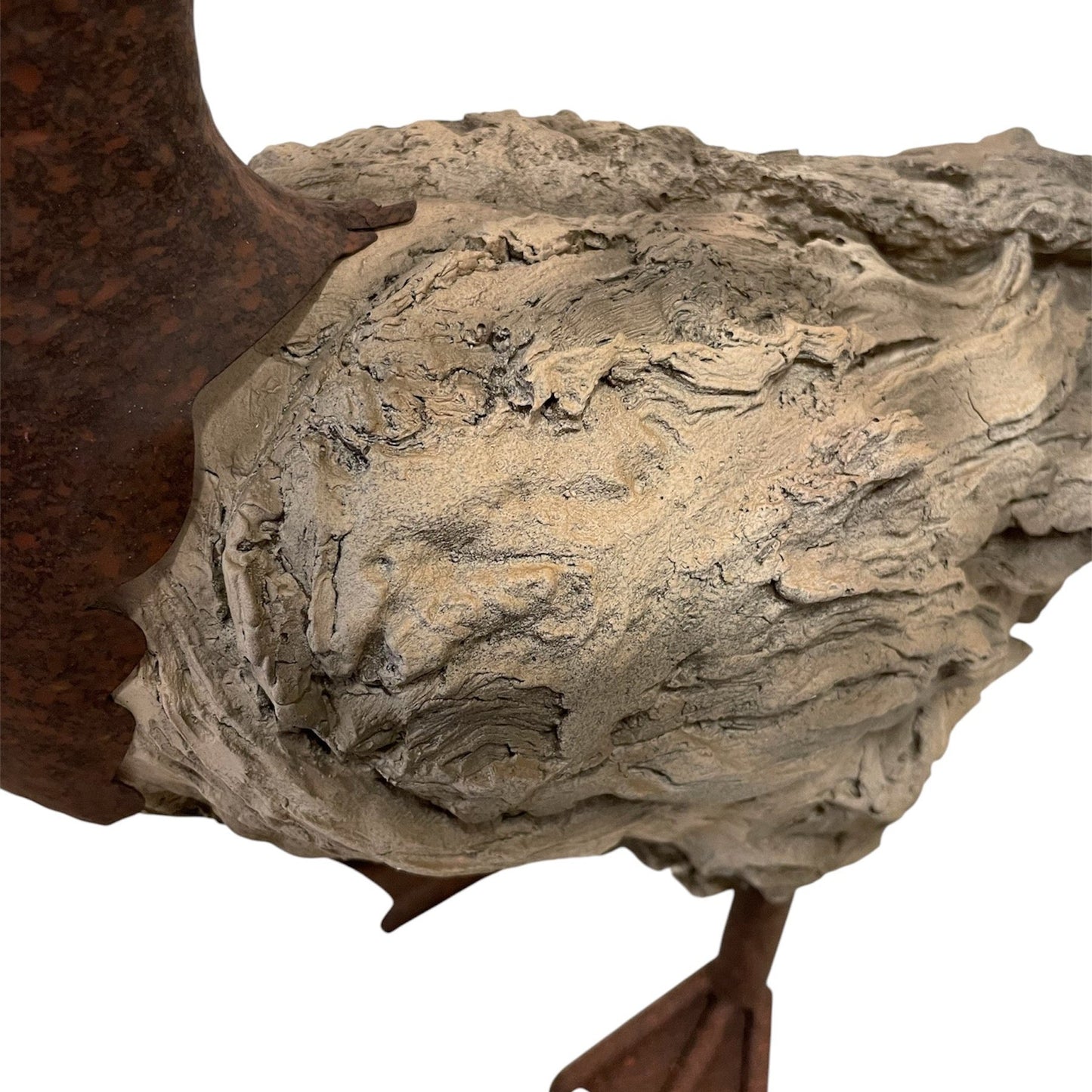 Woodland Duck