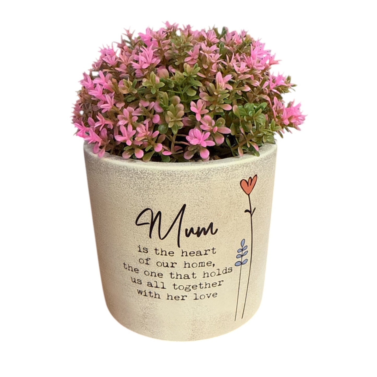 Wild Meadow Pot Plant