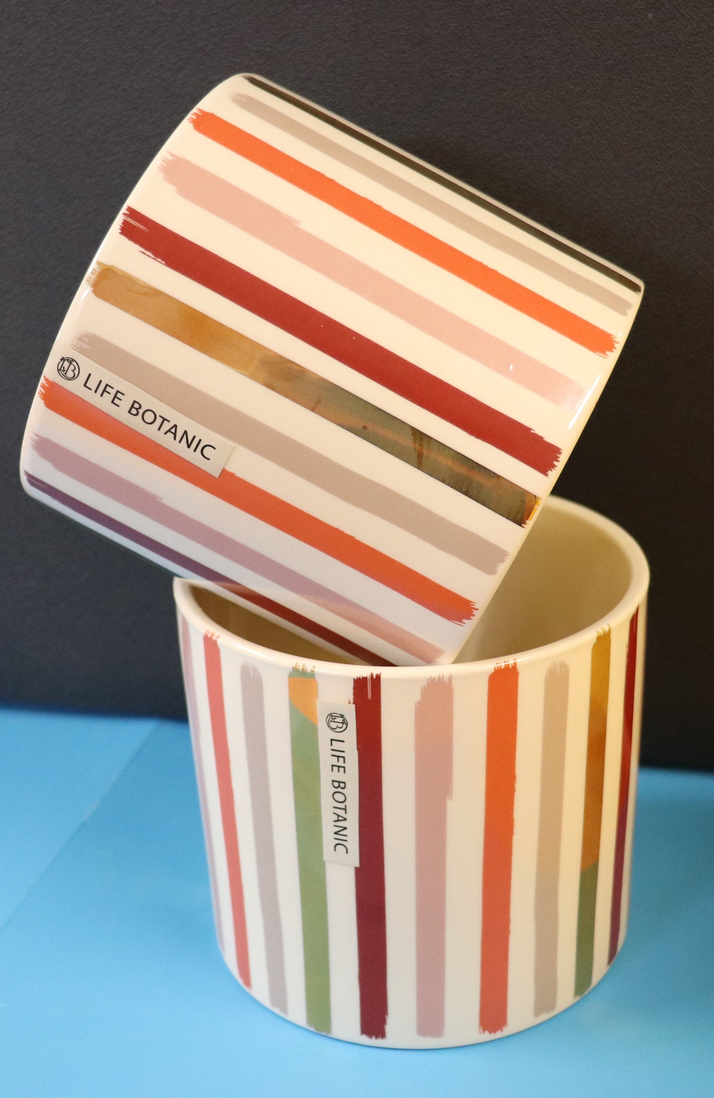 Alicia Ceramic Pot