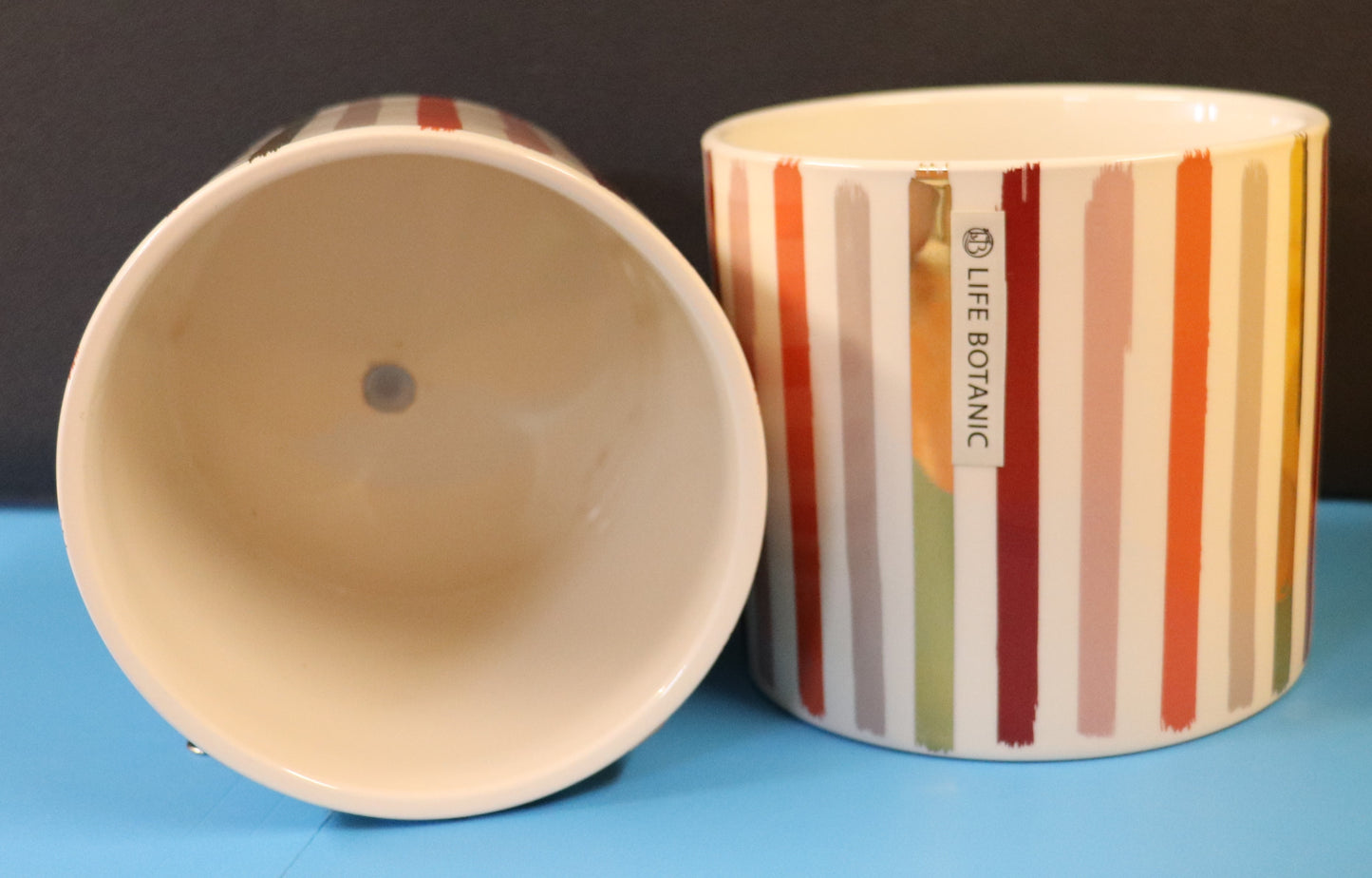 Alicia Ceramic Pot