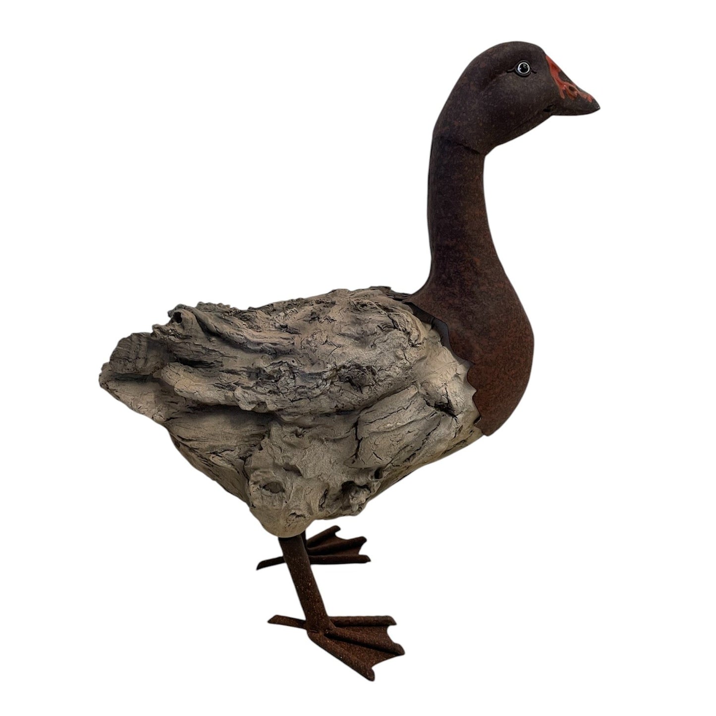 Woodland Duck