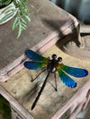 Small Blue Dragonfly Wall Art