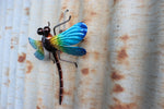 Small Blue Dragonfly Wall Art
