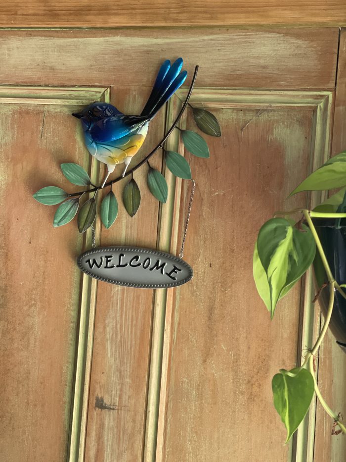 Elegant Blue Wren Welcome
