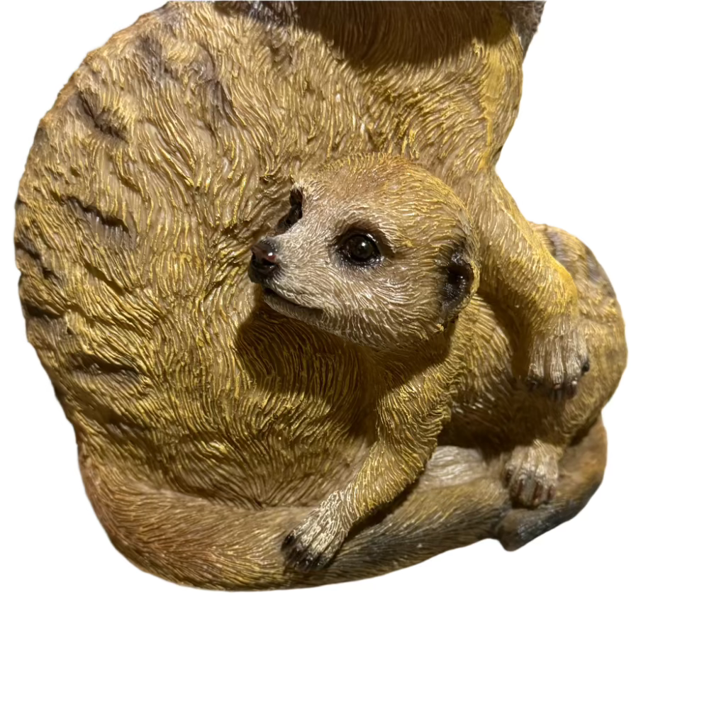 Mother and baby Meerkat on lookout