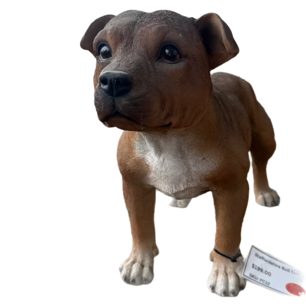 Staffordshire Bull Terrier