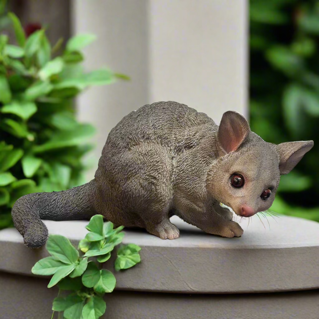 Brushtail Possum Statue