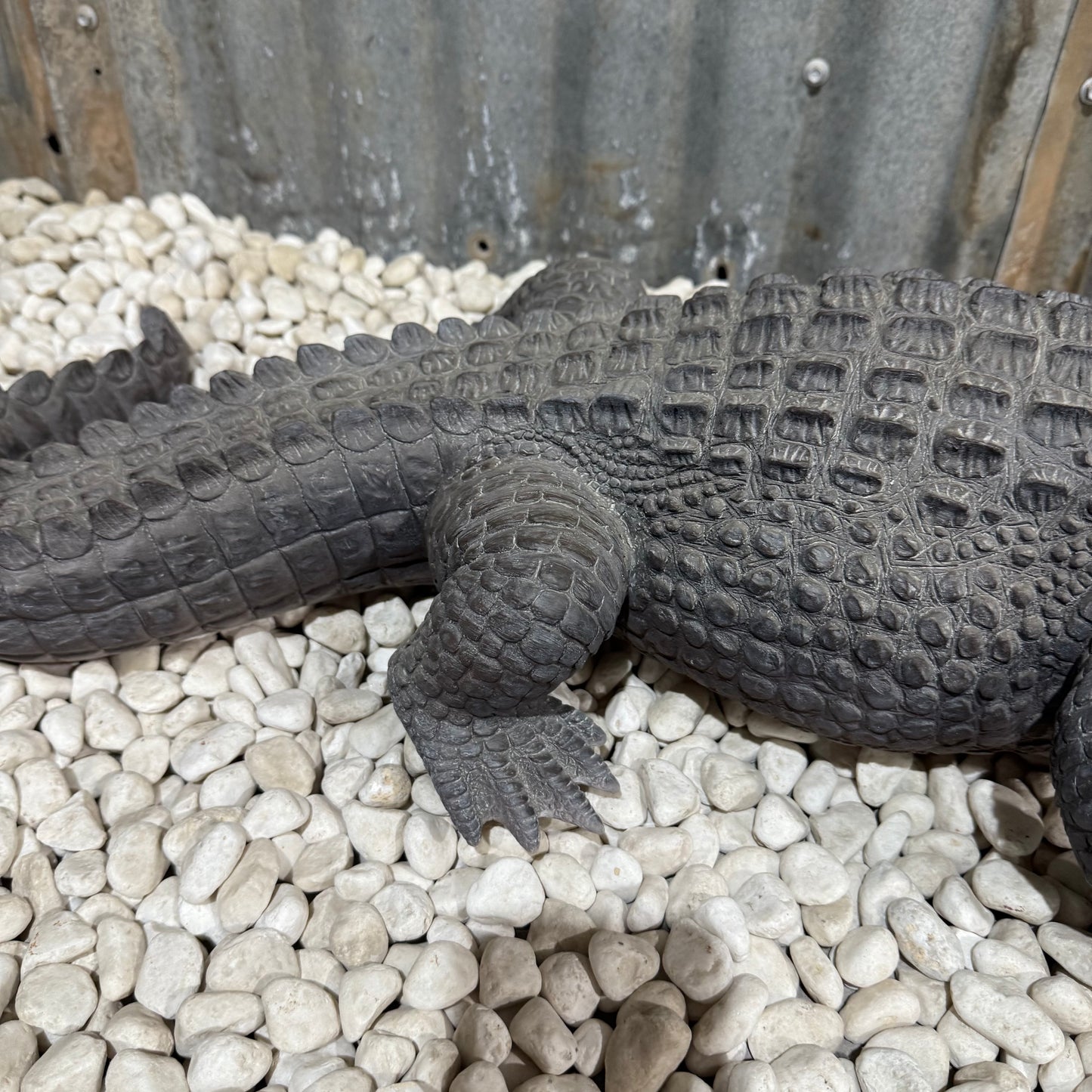 Crocodile Statue