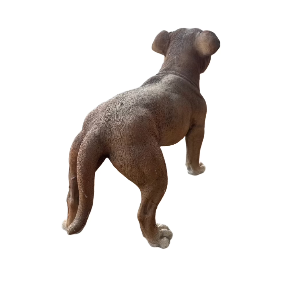 Staffordshire Bull Terrier