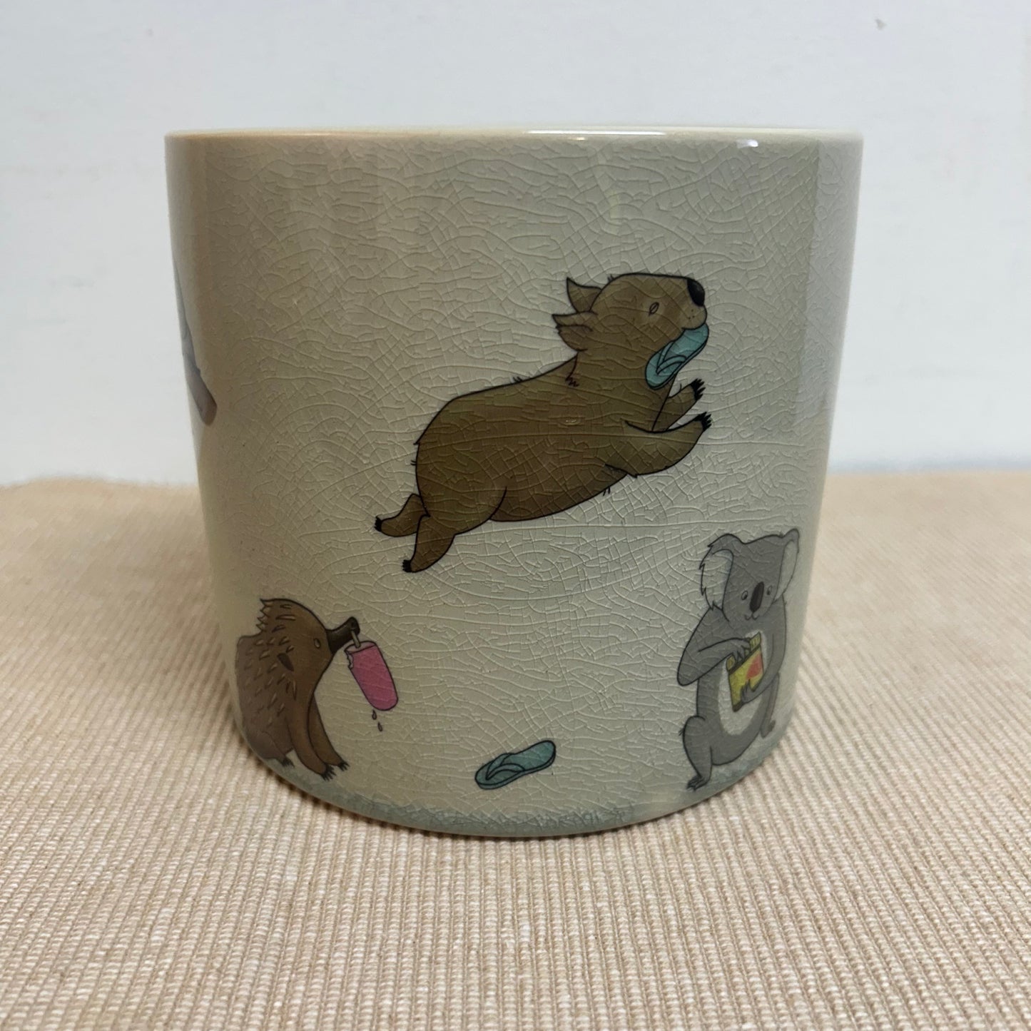 Aussie Animals Planter