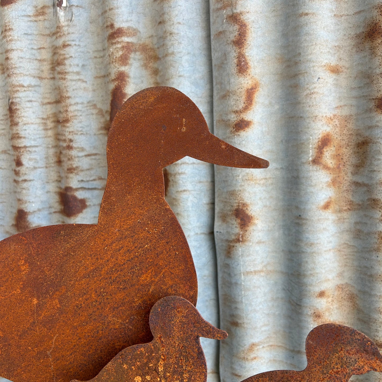 Duck Silhouette Set 2