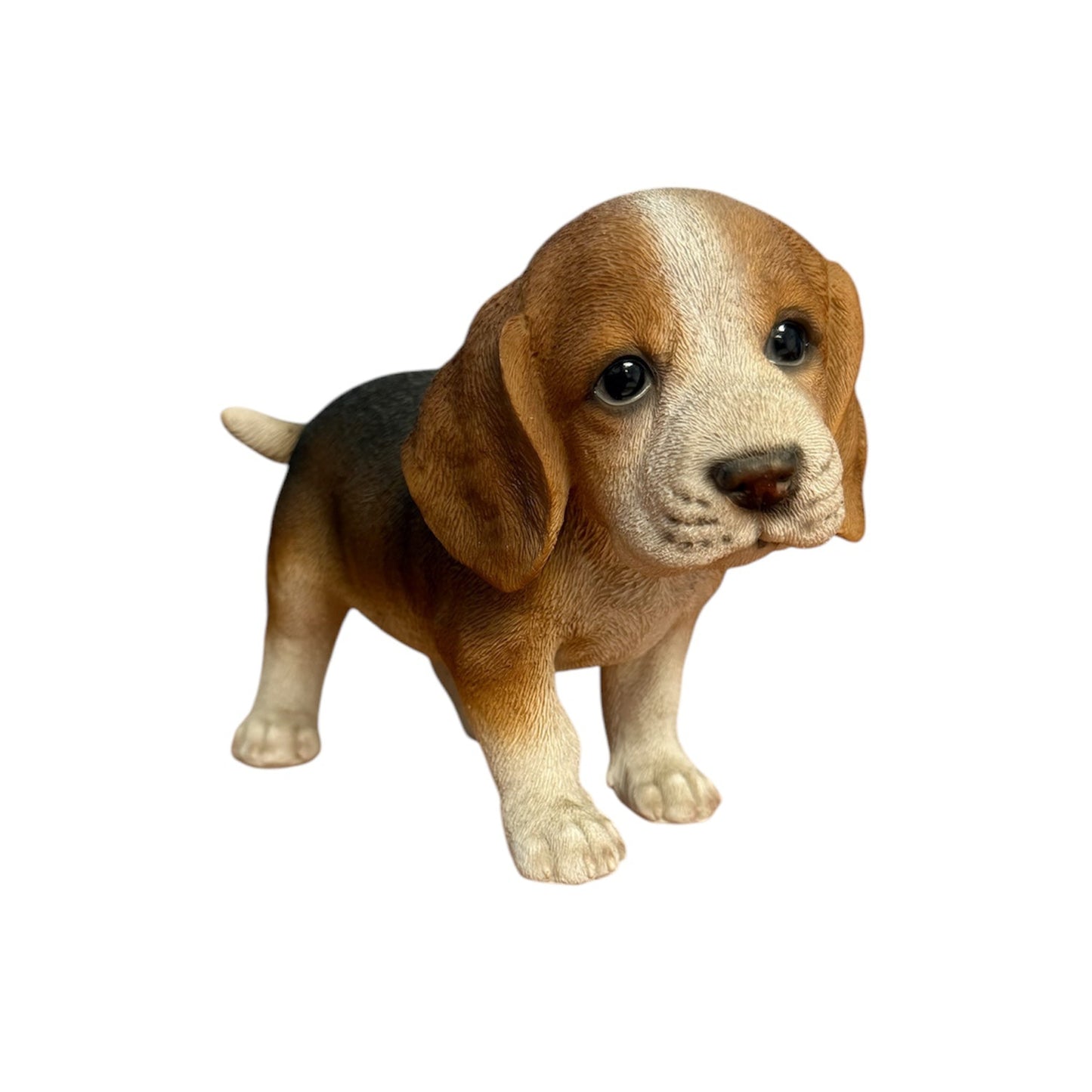 Mini Beagle Standing