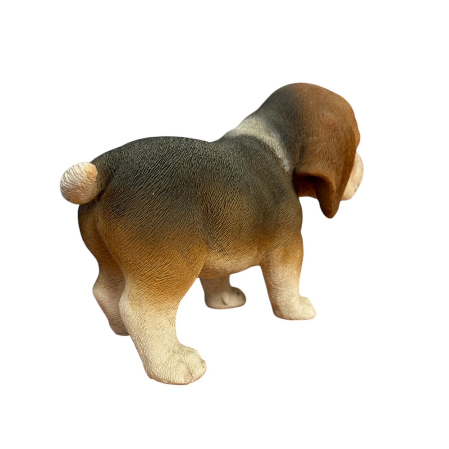 Mini Beagle Standing