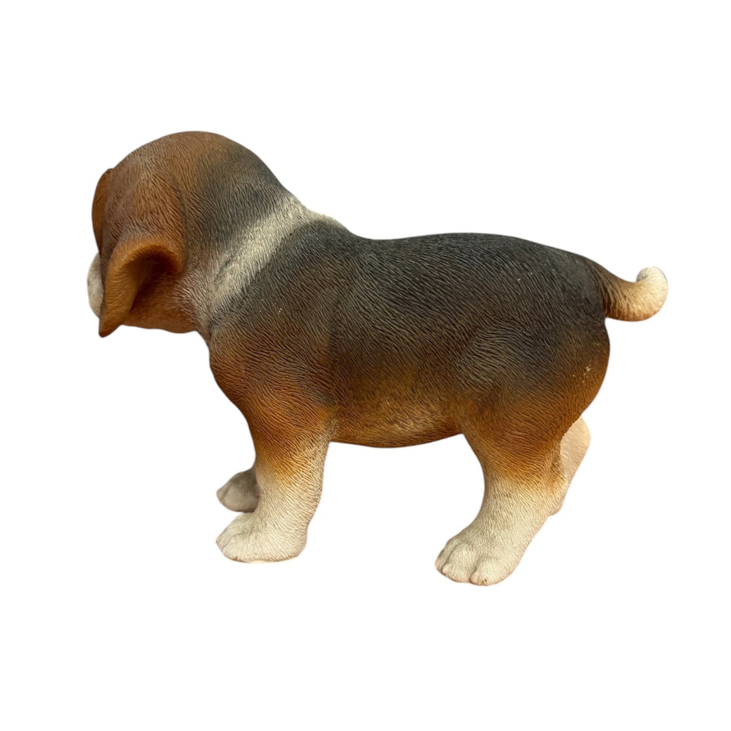Mini Beagle Standing