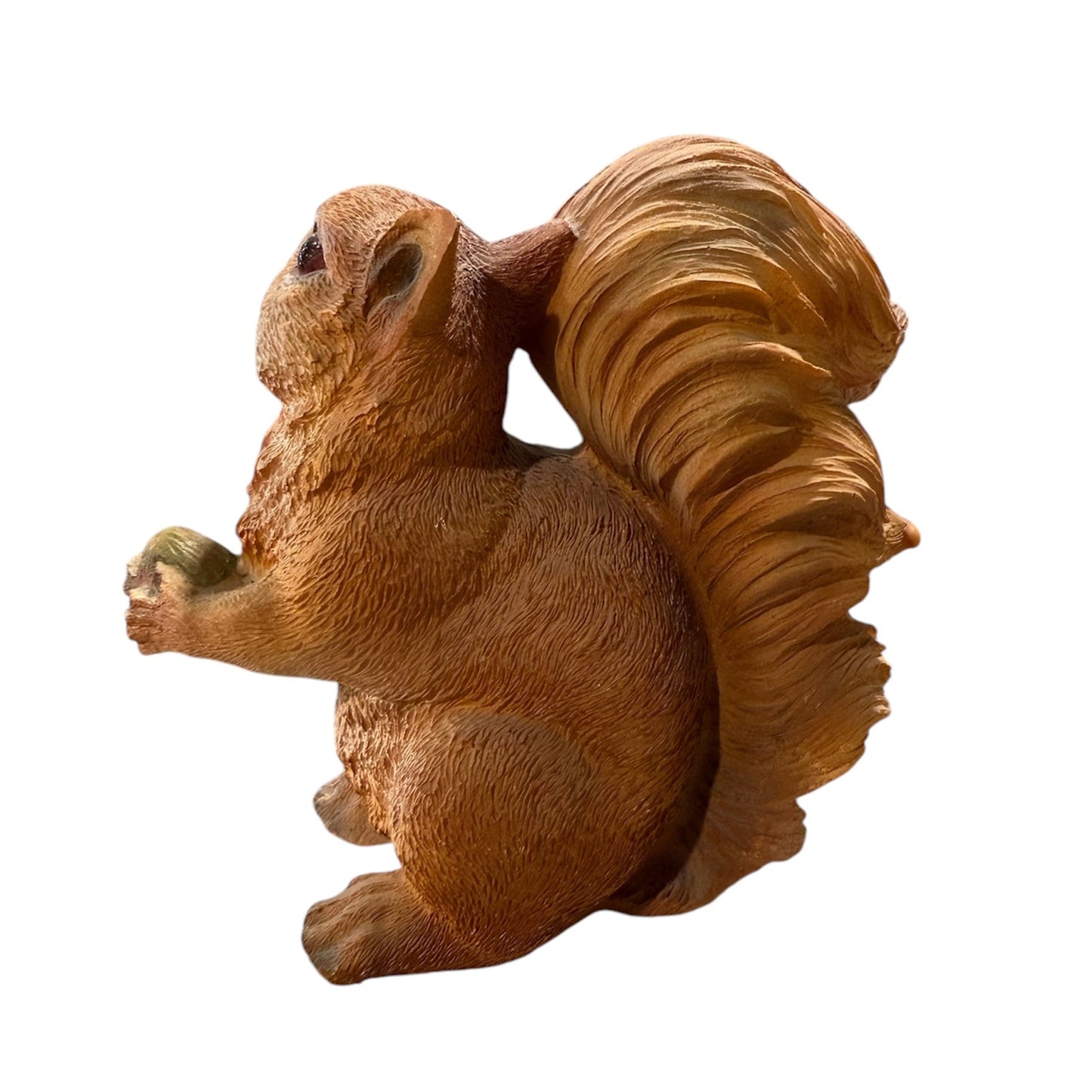Squirrel Eating Nuts