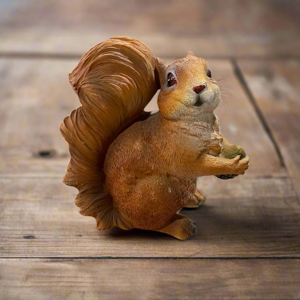 Squirrel Eating Nuts