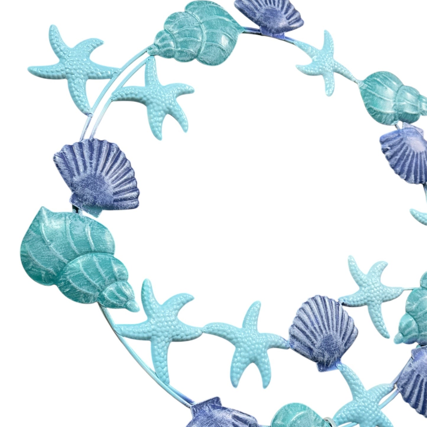 Shell Collection Wall Art