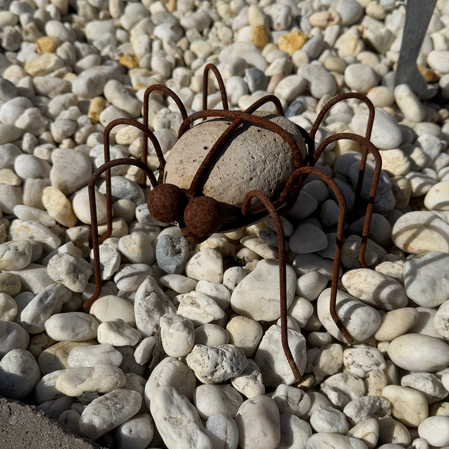 Rock Spider