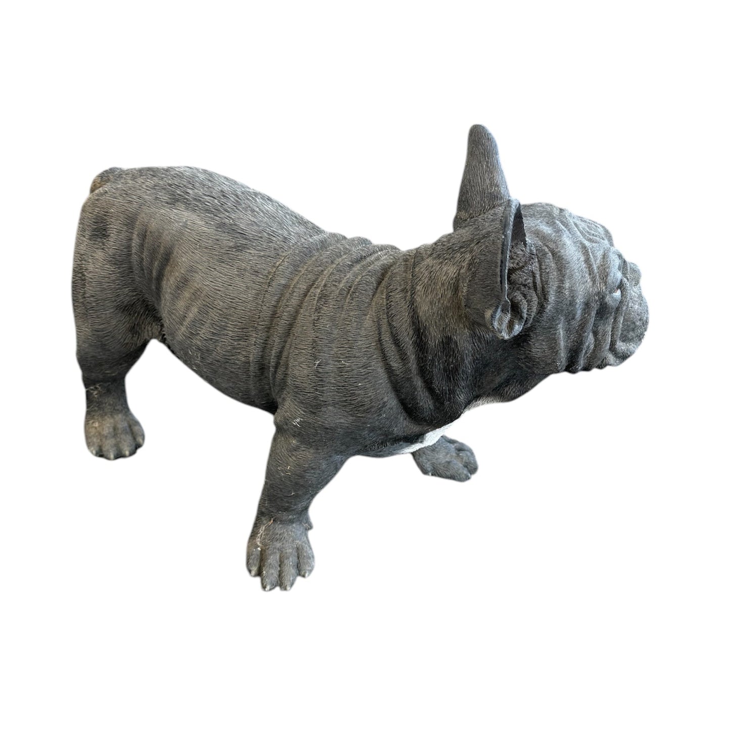 French Bulldog - Black