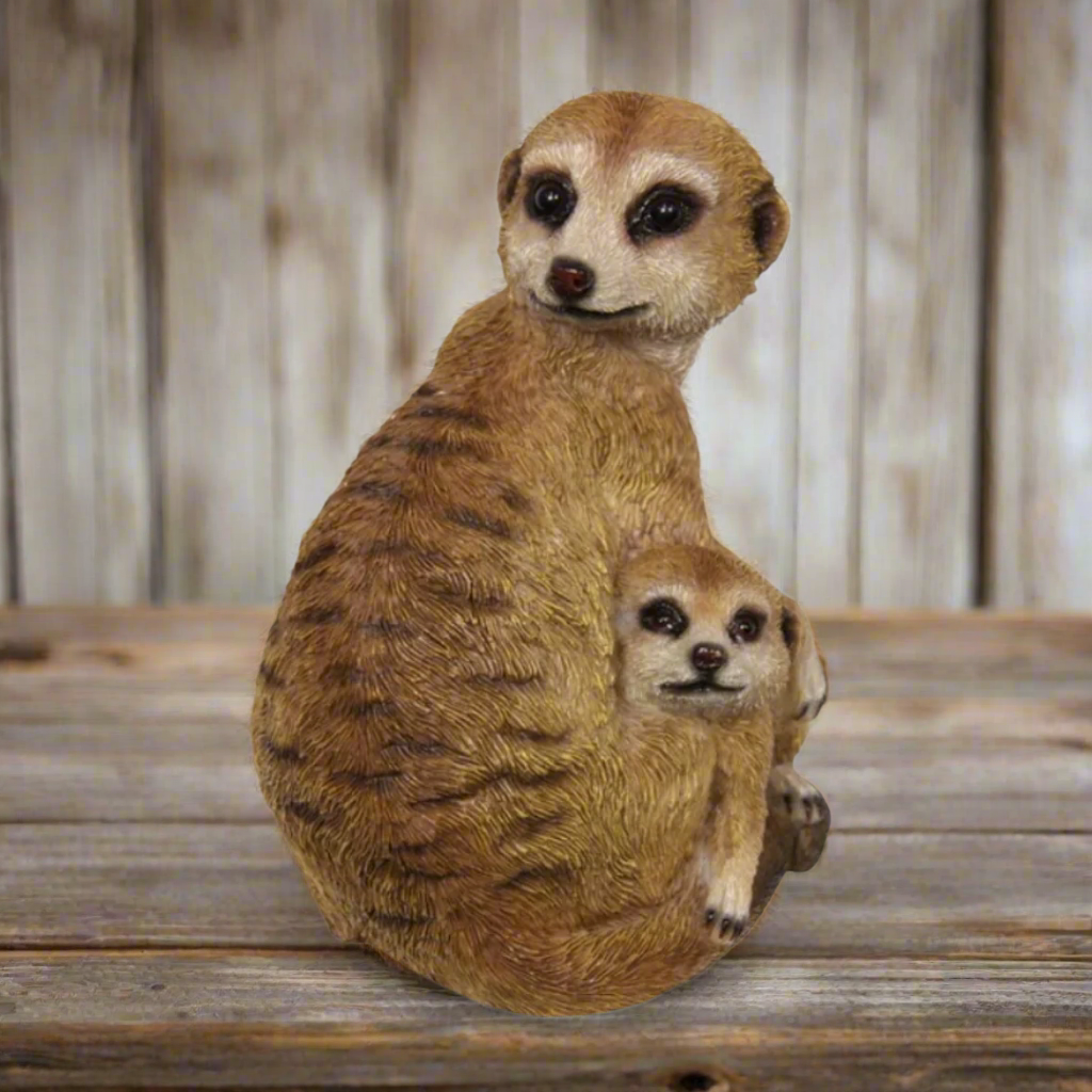 Mother and baby Meerkat on lookout