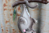 Possum Hanging Wall Art