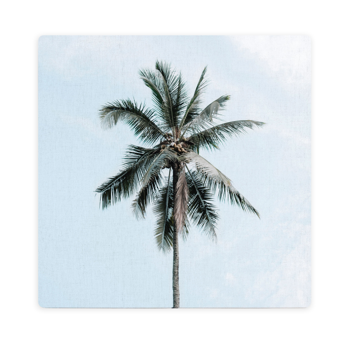 Tranquil Ceramic Coaster