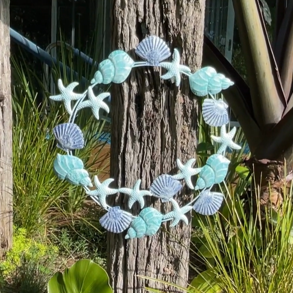 Shell Collection Wall Art