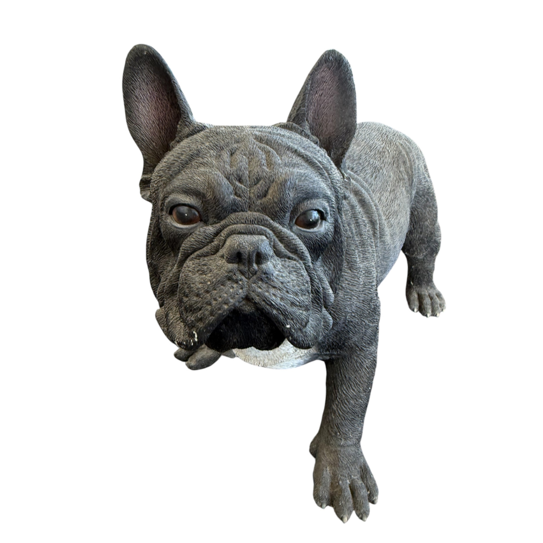 French Bulldog - Black