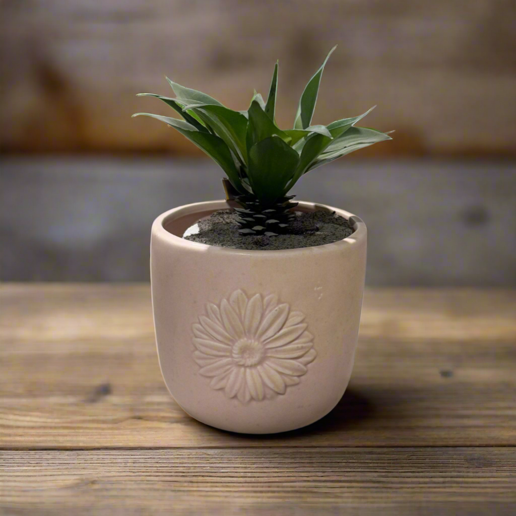 Eve Pink Pot