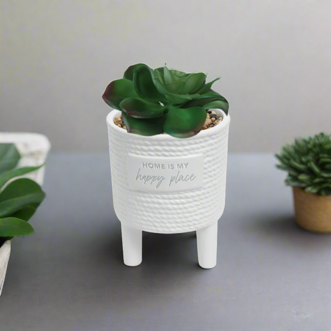 Dusk White Rope Pot Plant