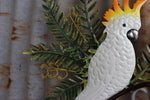 White Cockatoo with Banksia Welcome