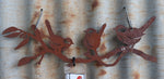Wrens On Branch Silhouette Wall Art