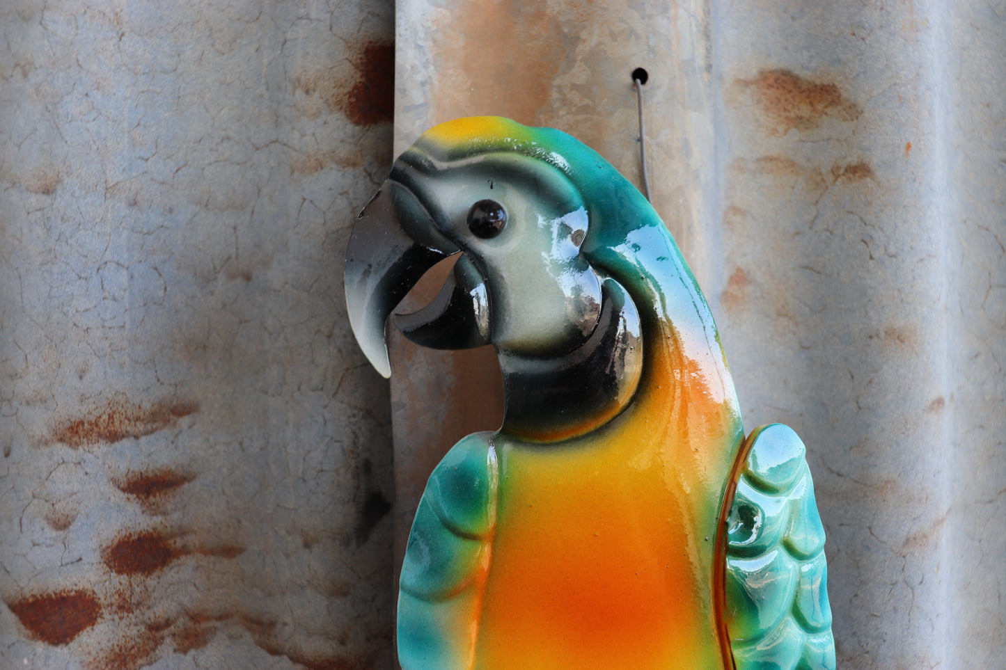 Yellow Macaw Wall Art