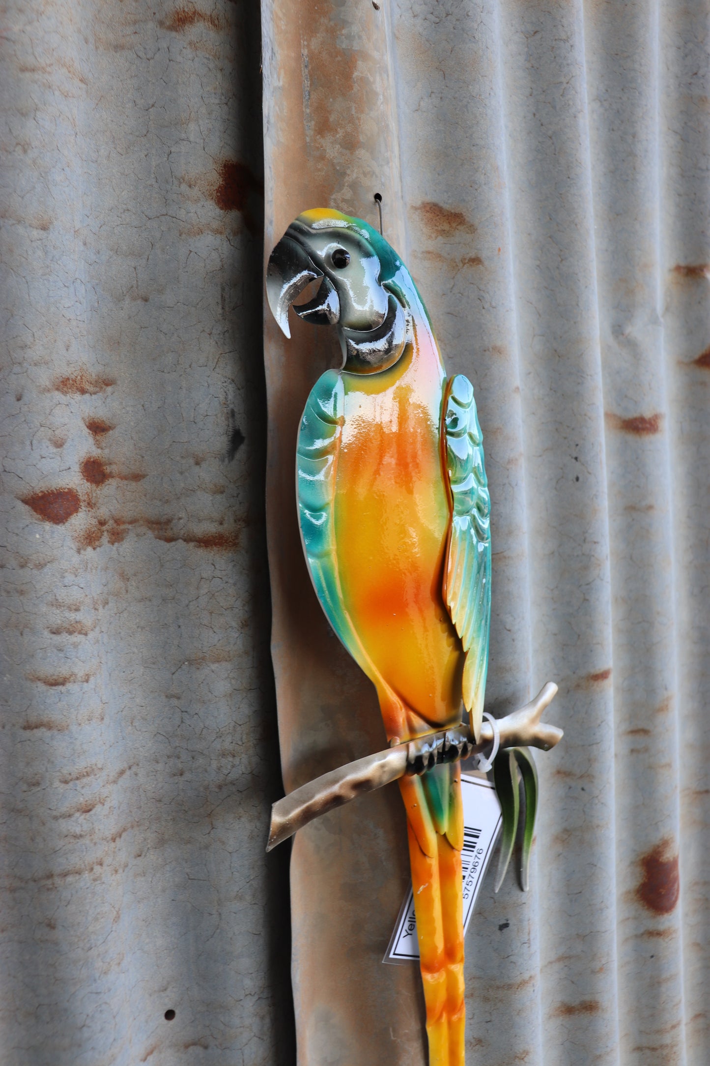 Yellow Macaw Wall Art