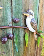 Kookaburra Trio On Gum Tree