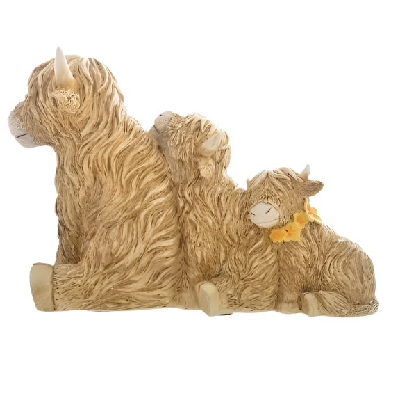 Highland Cow Family