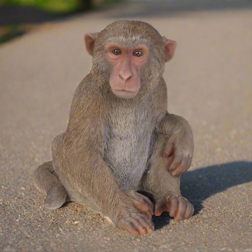 Japanese Monkey Statue