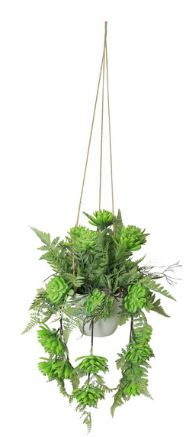 Hanging Succulent 90cm