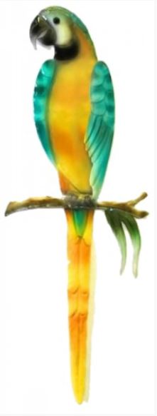 Yellow Macaw Wall Art