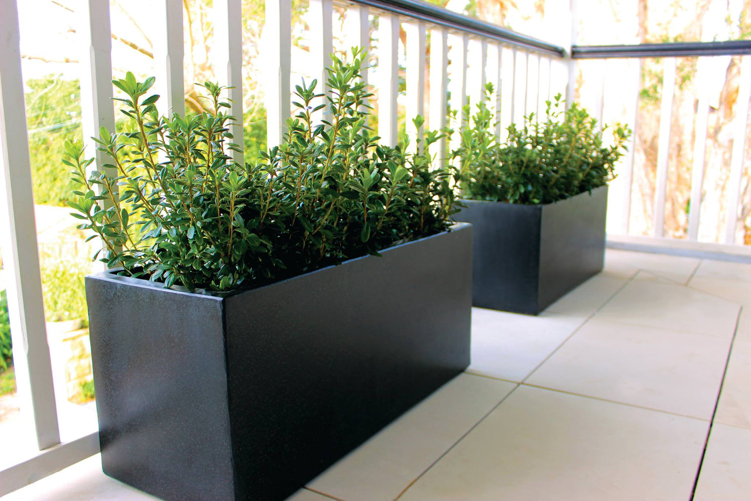 Trough Pots