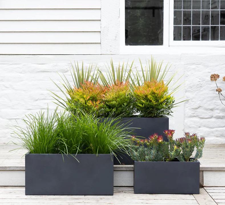 Outdoor Pots