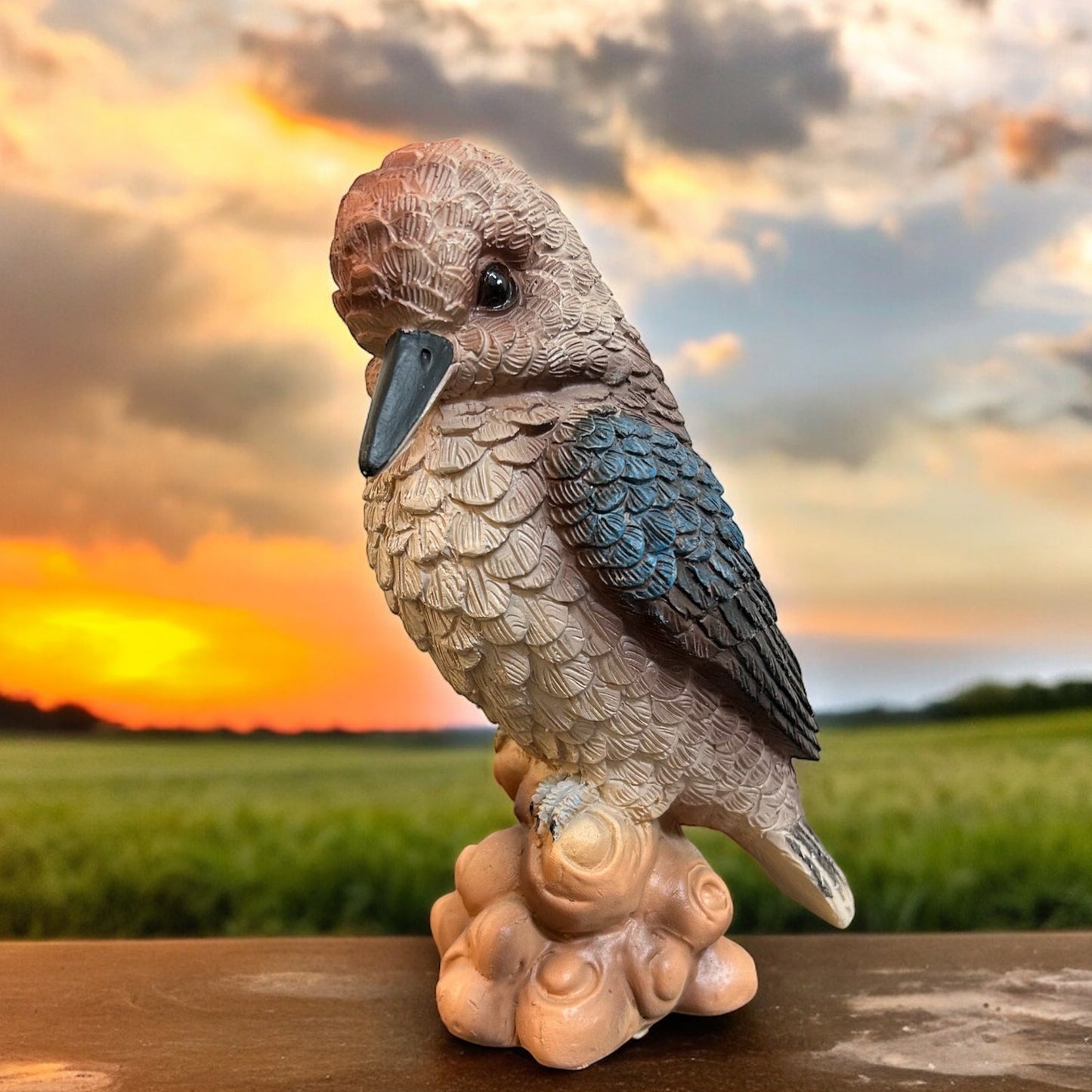 Kookaburra On Stump