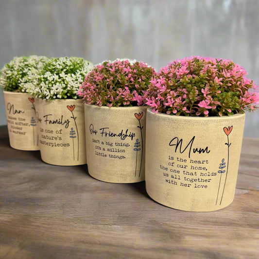 Wild Meadow Pot Plant