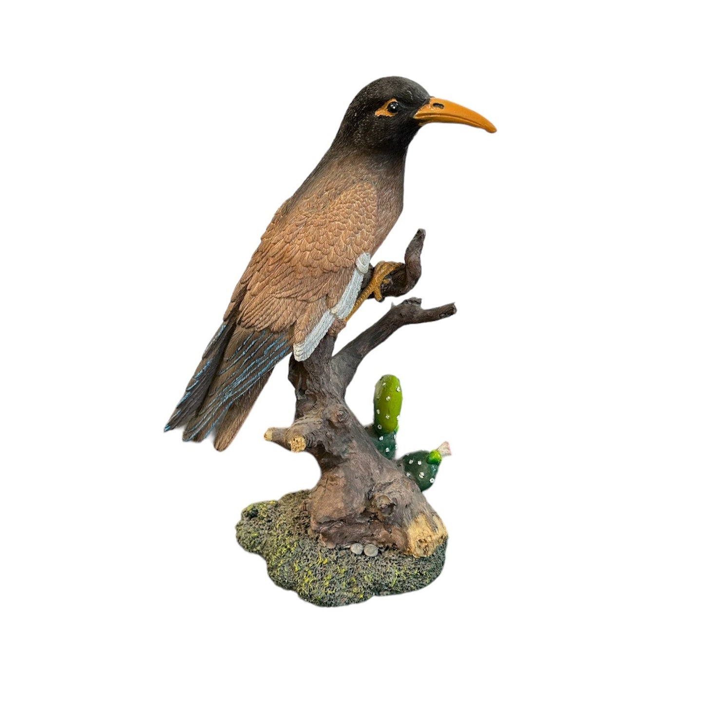 Myna Bird on Log